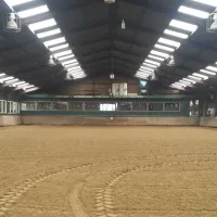 manege-knollegruun-schoonloo-ymoiz