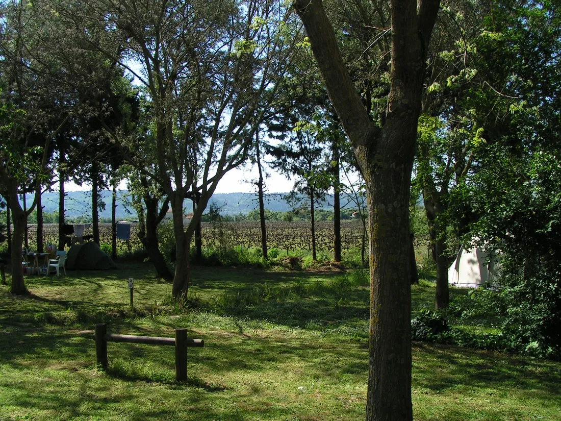 le-moulin-a-vent-cucuron-q6xxx