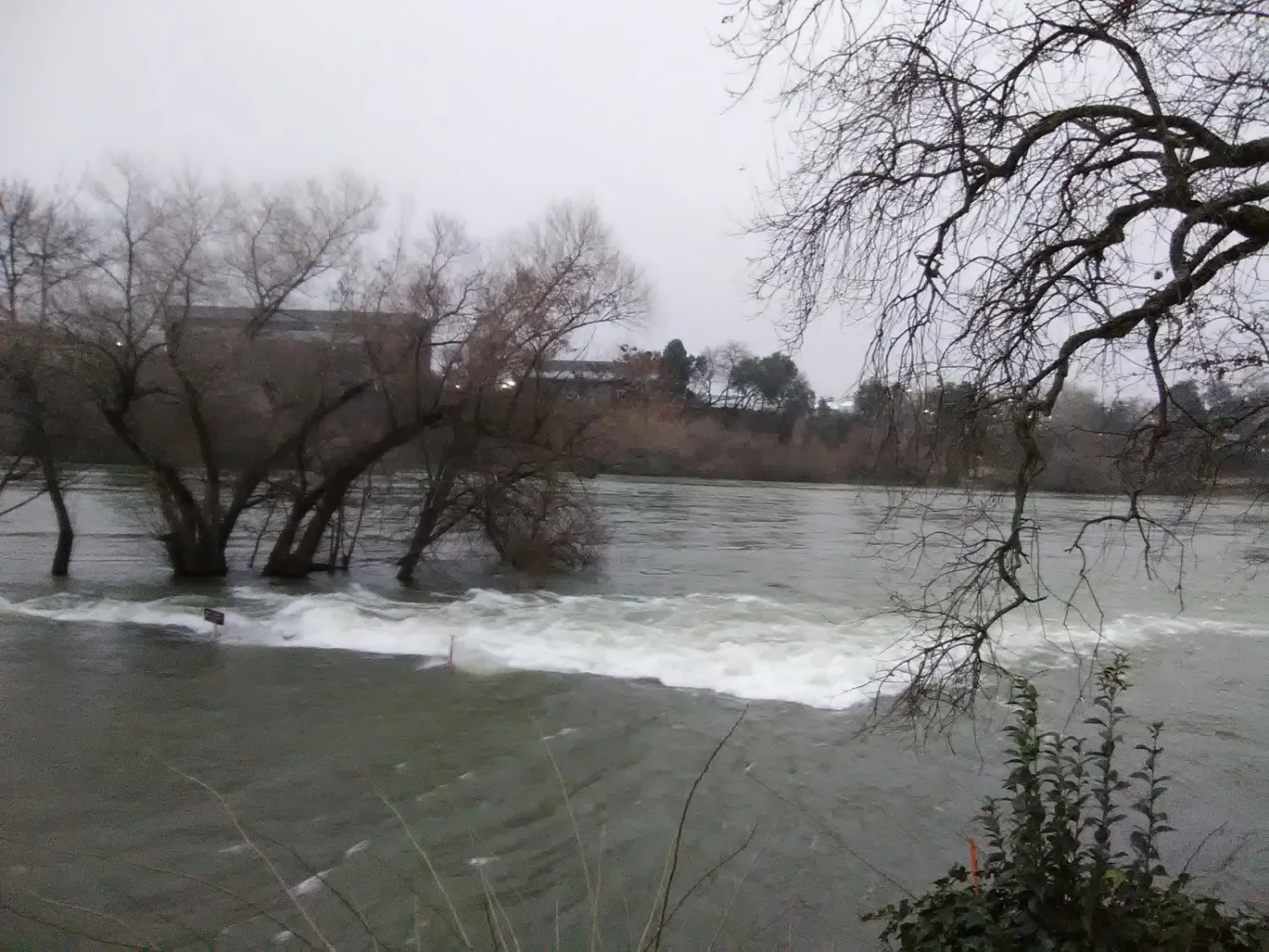 marina-rv-park-redding-udpsy