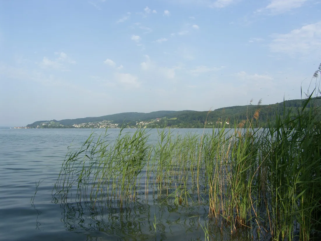 wangen-am-bodensee-ohningen-wangen-noasu