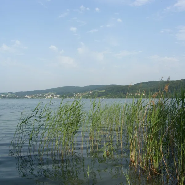 wangen-am-bodensee-ohningen-wangen-noasu