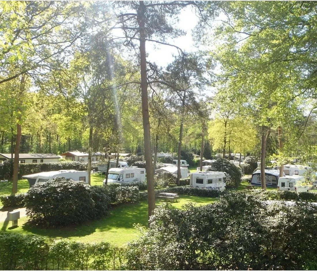 bos-en-heide-camping-zuid-ginkel-ede-2ho7m