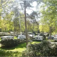 bos-en-heide-camping-zuid-ginkel-ede-2ho7m