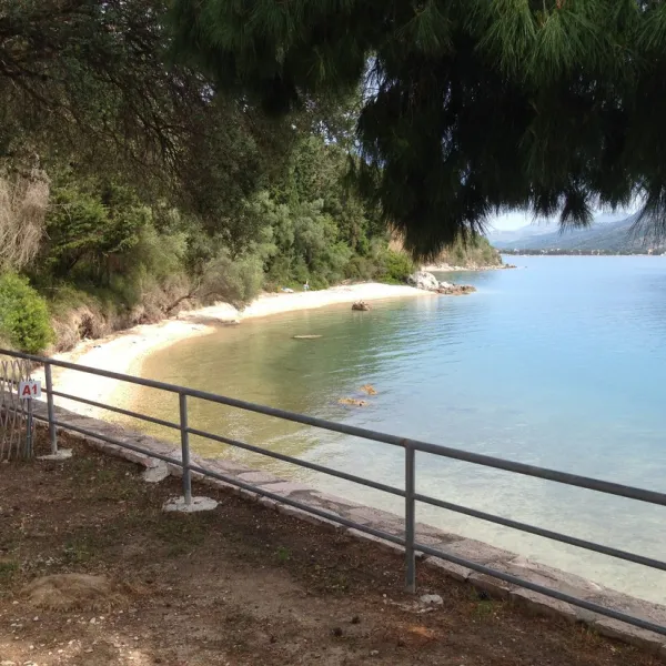 elena-igoumenitsa-85gz6