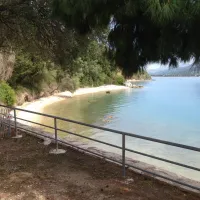 elena-igoumenitsa-85gz6