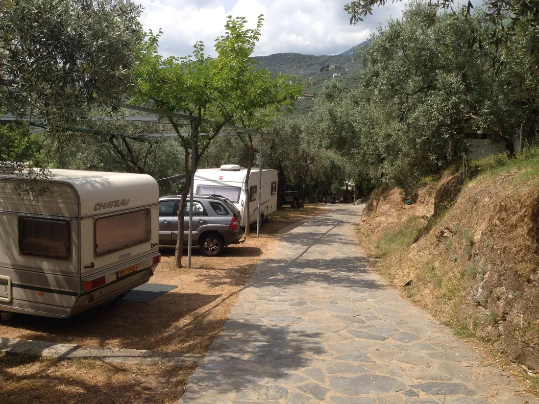 elena-igoumenitsa-cpoc0