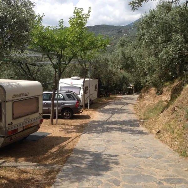 elena-igoumenitsa-cpoc0