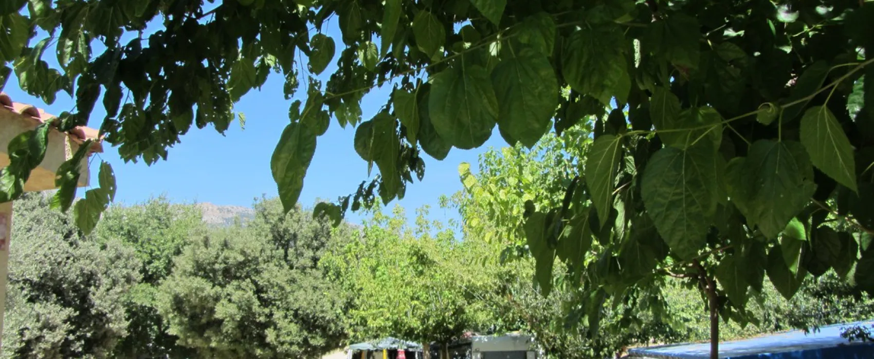 La Vall d'Ager