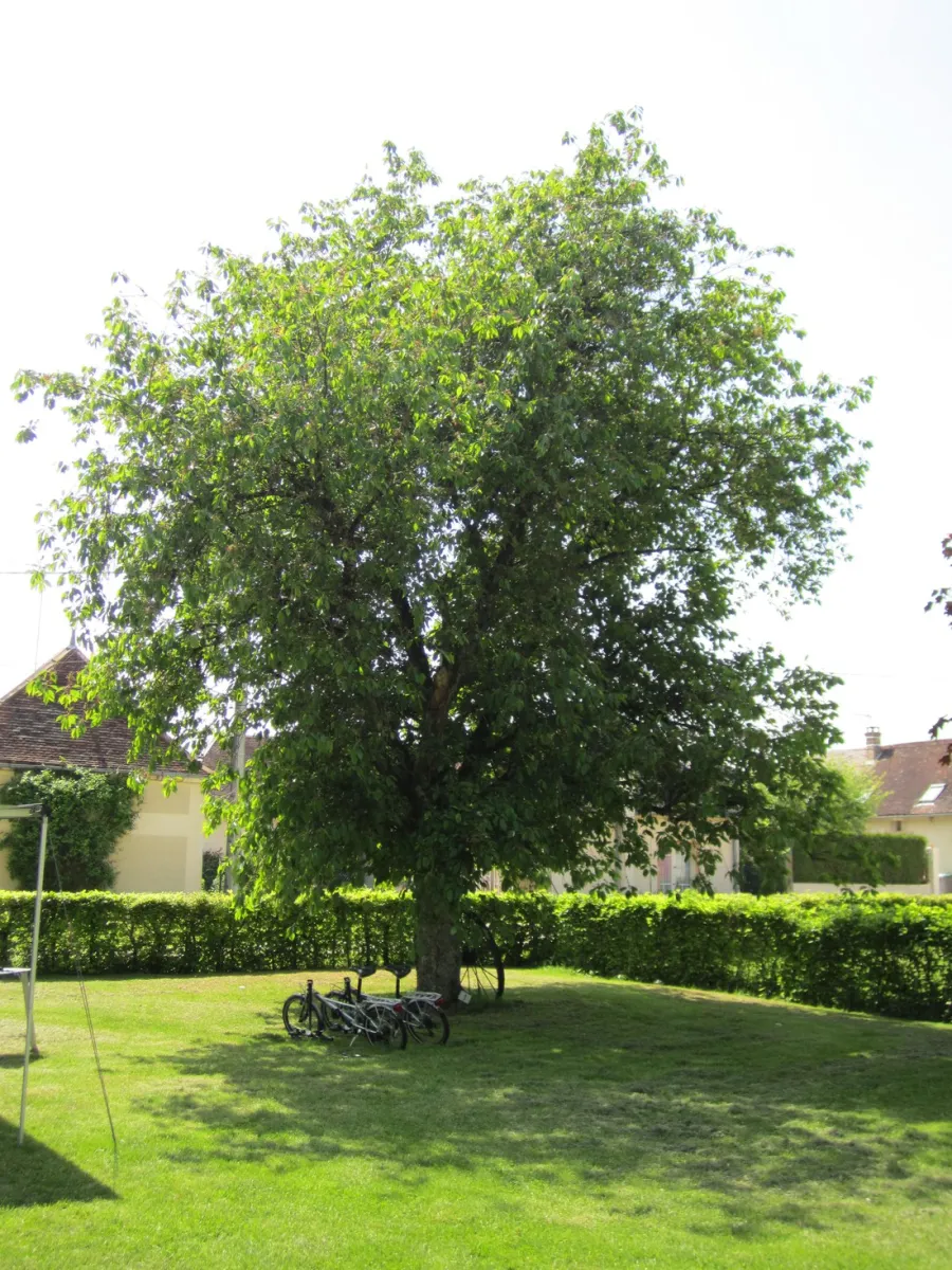 ferme-des-hauts-frenes-frankrijk-rkmqj