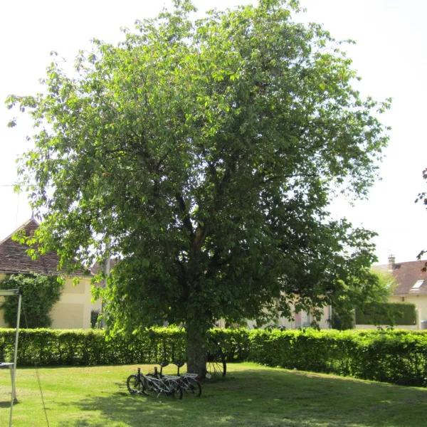 ferme-des-hauts-frenes-frankrijk-rkmqj