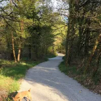 le-ranch-camping-madranges-p7ilg