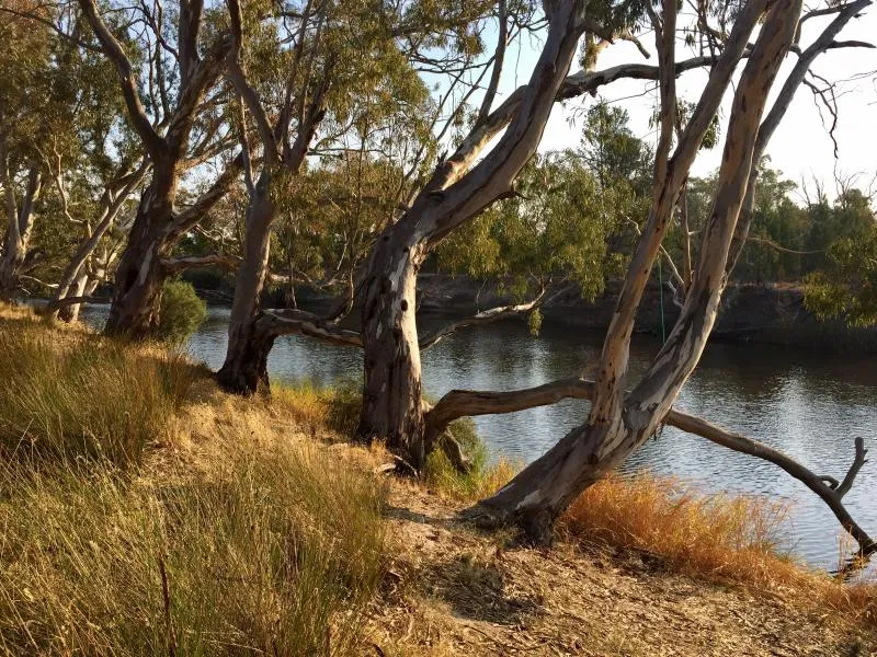 horseshoe-bend-campground-xvwli