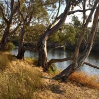horseshoe-bend-campground-xvwli