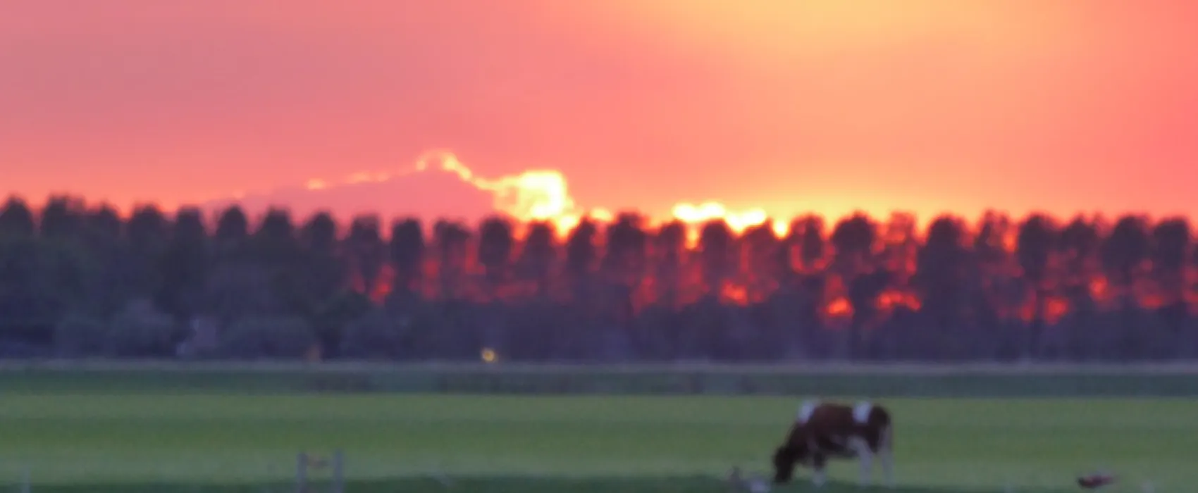 Boerencamping Manuel Hoeve