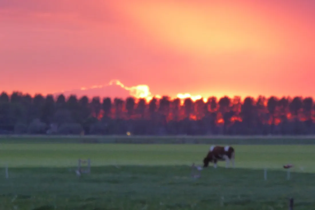 boerencamping-manuel-hoeve-aartswoud-ddpkr