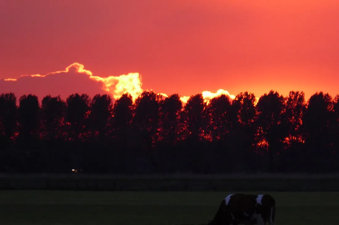 boerencamping-manuel-hoeve-aartswoud-eoez5