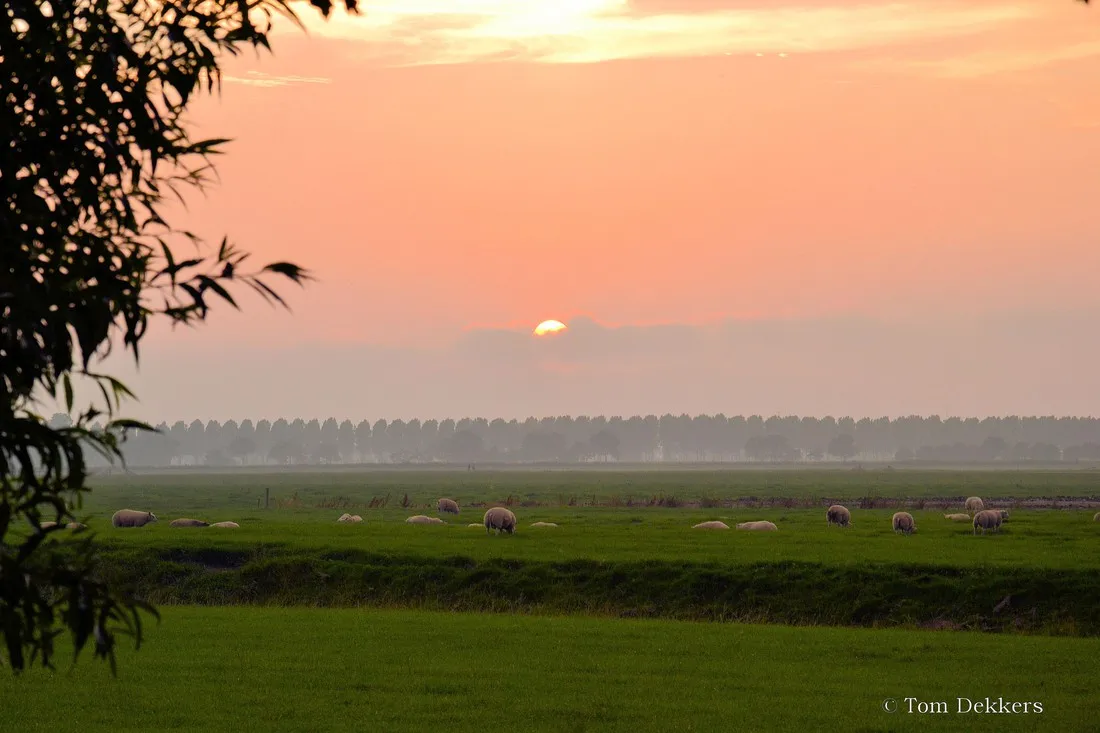 boerencamping-manuel-hoeve-aartswoud-ry3gt