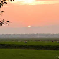 boerencamping-manuel-hoeve-aartswoud-ry3gt