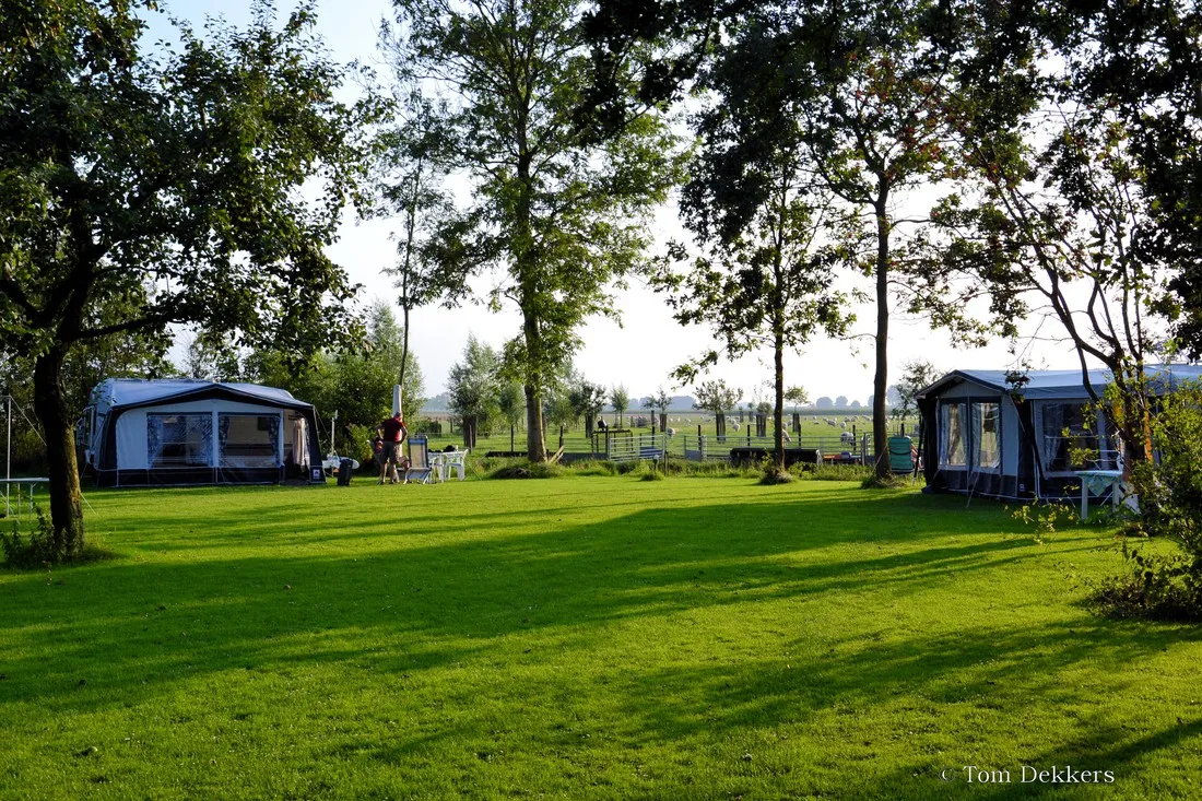 boerencamping-manuel-hoeve-aartswoud-txlkv