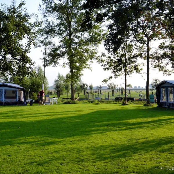 boerencamping-manuel-hoeve-aartswoud-txlkv