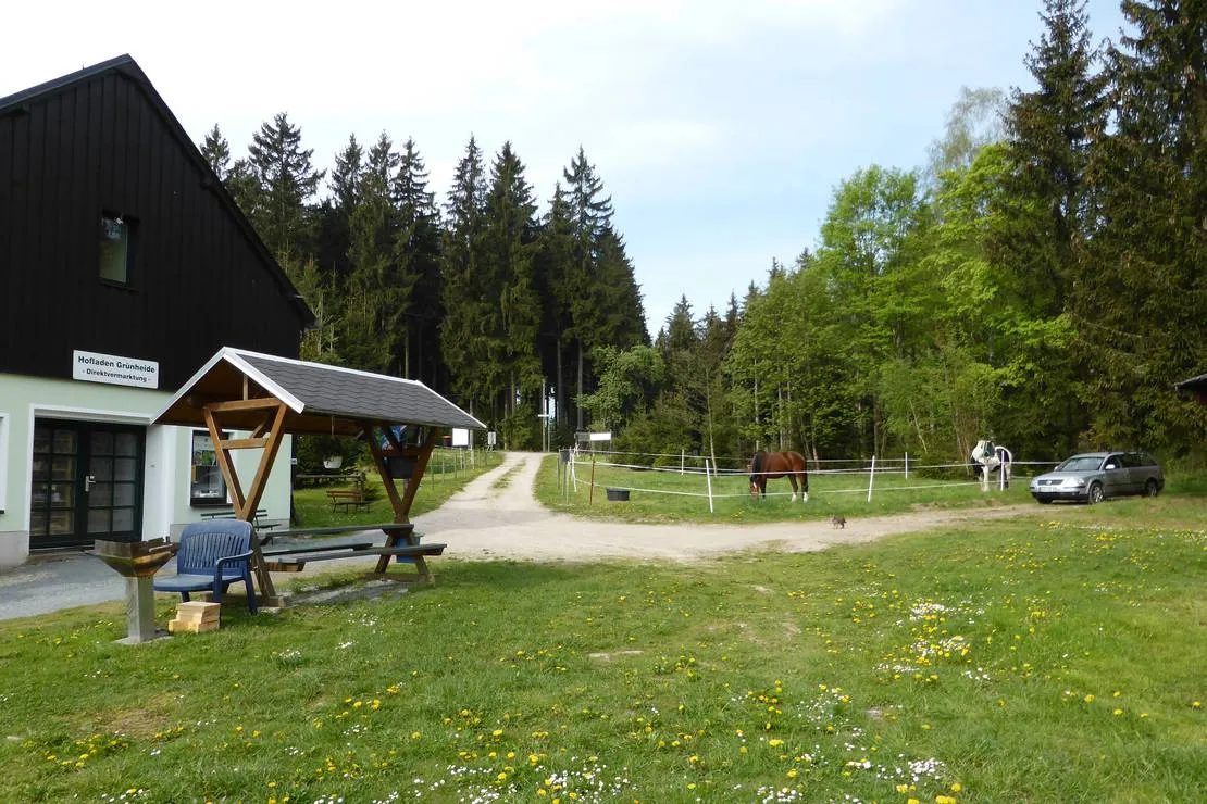 campingplatz-am-hofladen-grunheide-grunheide-hmp91