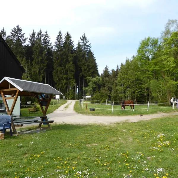 campingplatz-am-hofladen-grunheide-grunheide-hmp91