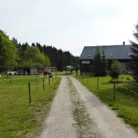 campingplatz-am-hofladen-grunheide-grunheide-pi8zk