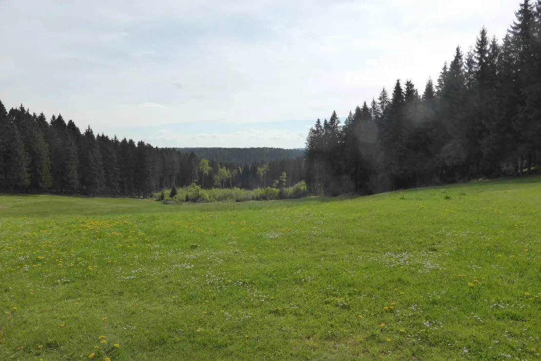 campingplatz-am-hofladen-grunheide-grunheide-q5rnv
