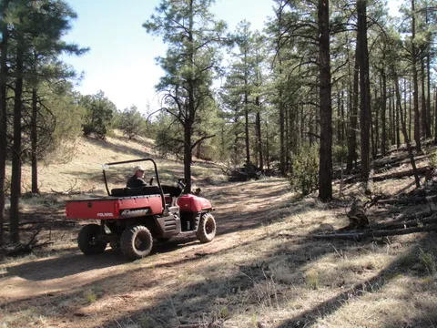 arizona-high-country-campground-clay-springs-yq4hb