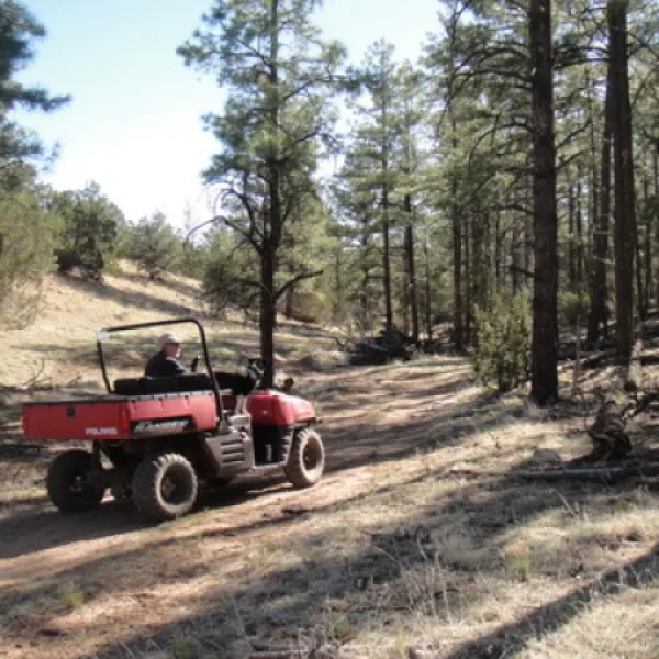 arizona-high-country-campground-clay-springs-yq4hb