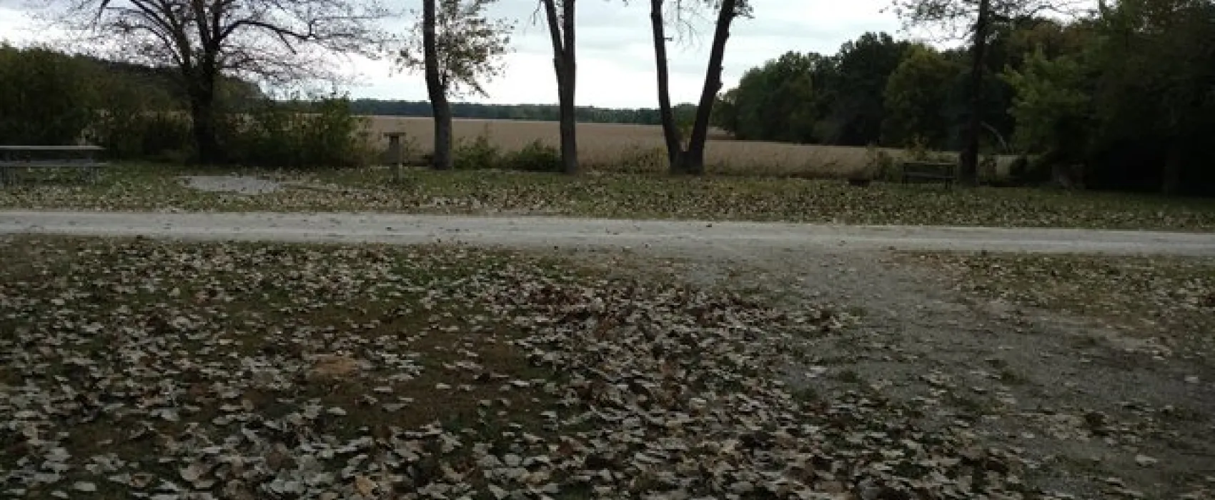 Springfield KOA