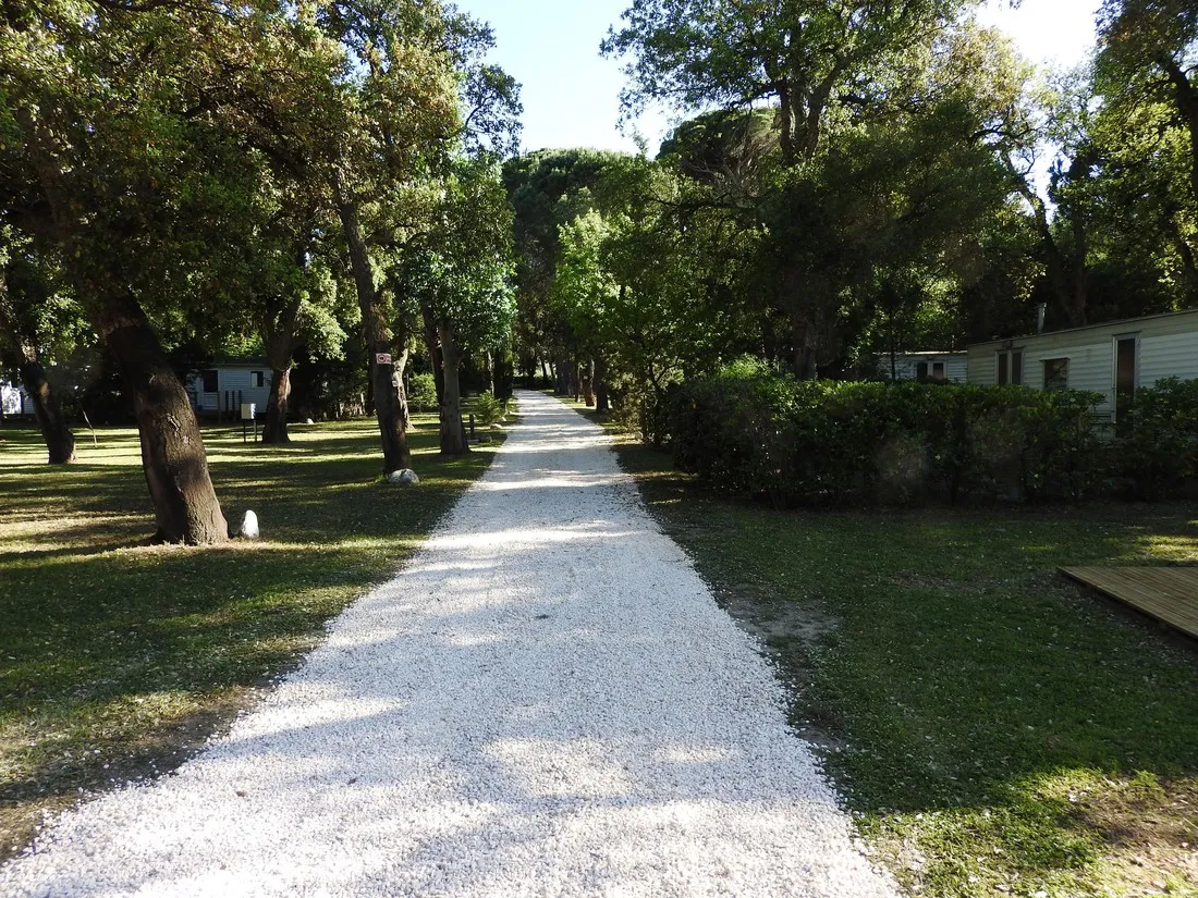 fagamis-st-genis-des-fontaines-y8mvb