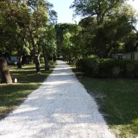 fagamis-st-genis-des-fontaines-y8mvb