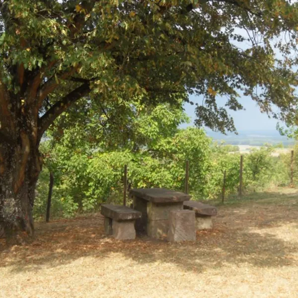 le-chaumont-camping-rural-de-collardey-claude-le-val-st-eloi-kw51m