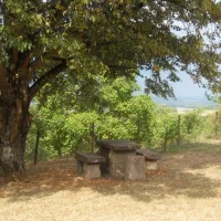 le-chaumont-camping-rural-de-collardey-claude-le-val-st-eloi-kw51m