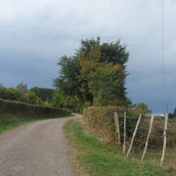 le-chaumont-camping-rural-de-collardey-claude-le-val-st-eloi-l6vbs