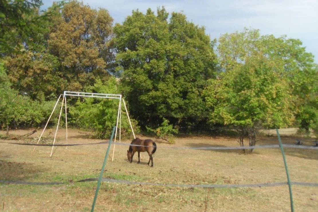 le-chaumont-camping-rural-de-collardey-claude-le-val-st-eloi-sp8d6