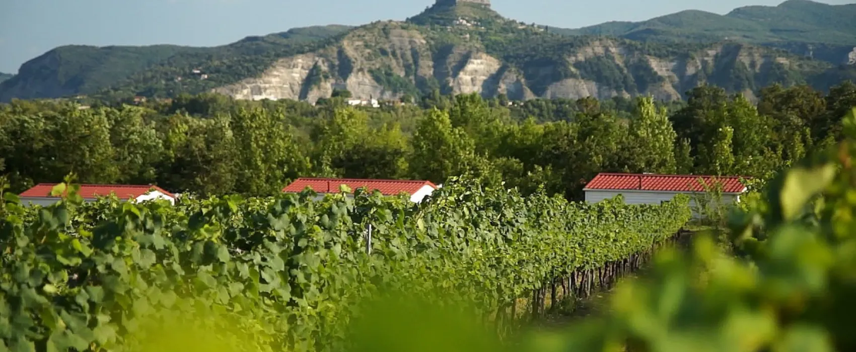 Peyroche