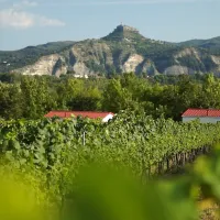 peyroche-ruoms-sampzon-ardegraveche-qbdzn