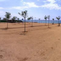 Bonamar Park