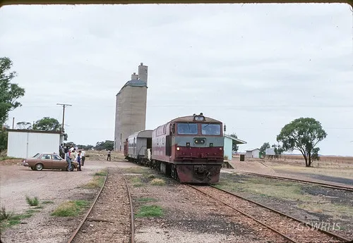 goyders-line-memorial-campground-s81ig