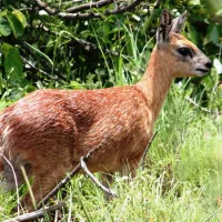 silwerrand-guest-farm-roossenekal-n7li3