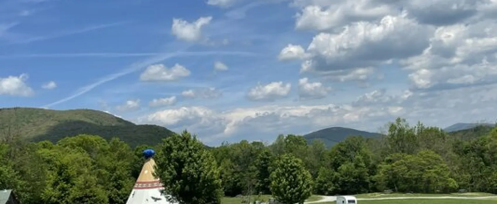 Blue Bear Mountain Camp