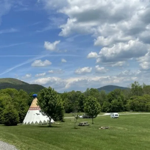 Blue Bear Mountain Camp