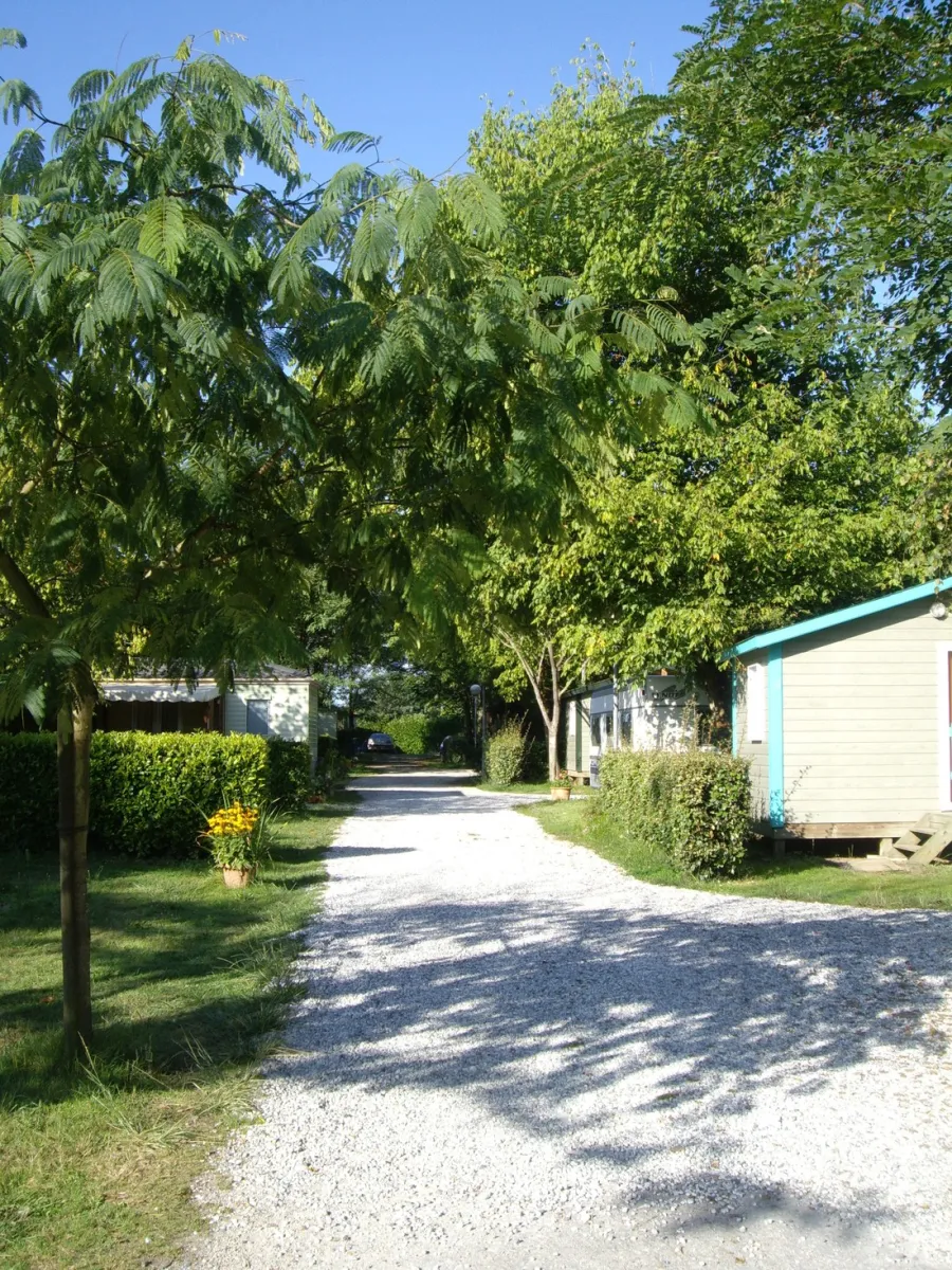les-jardins-de-ladour-st-vincent-de-paul-aymc8
