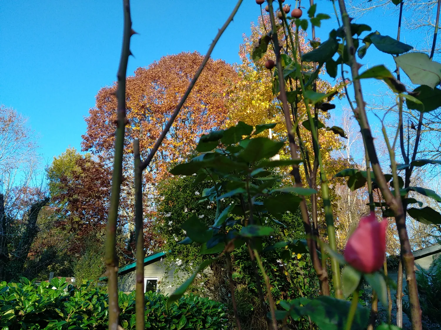 les-jardins-de-ladour-st-vincent-de-paul-oe0i4