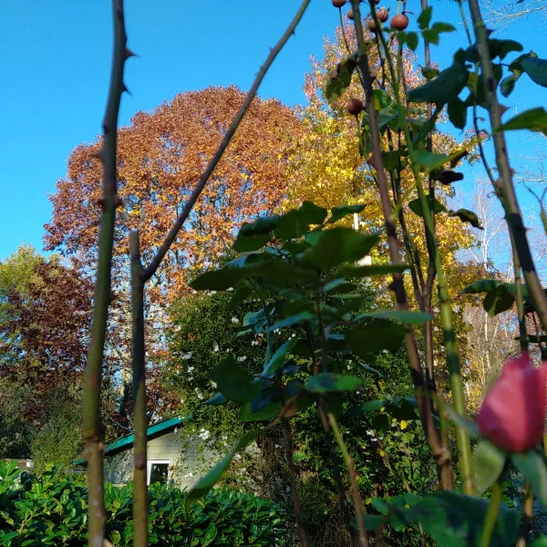 les-jardins-de-ladour-st-vincent-de-paul-oe0i4