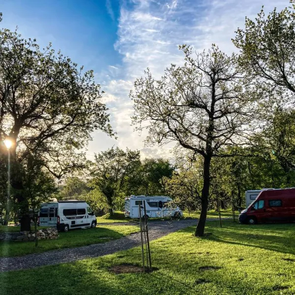 kamp-david-crnice-d14yh