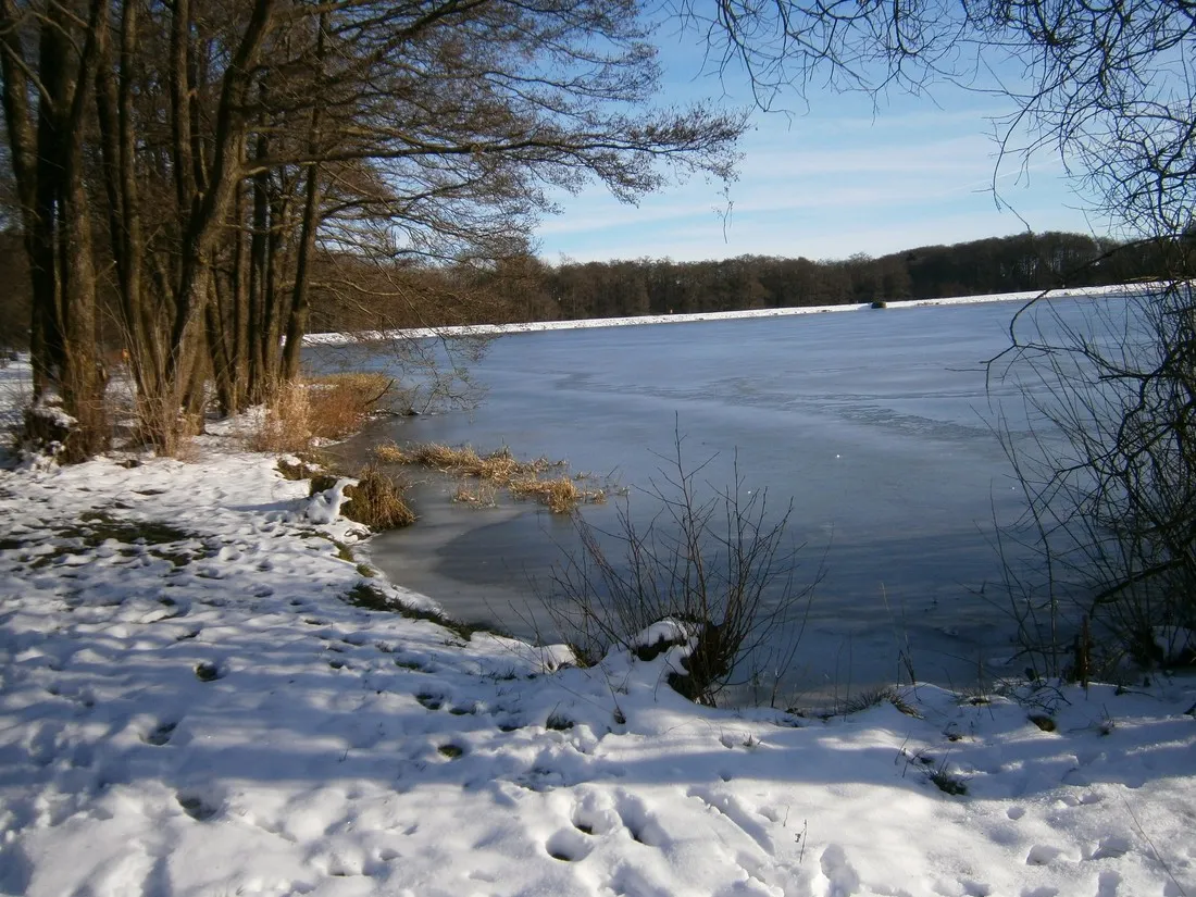 heisterberger-weiher-heisterberg-0evnt