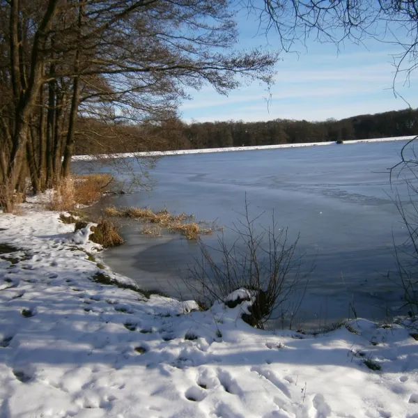 heisterberger-weiher-heisterberg-0evnt